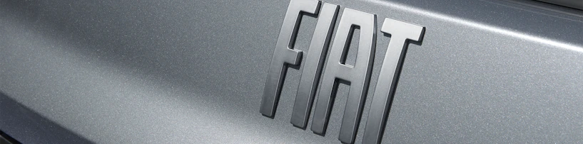 Logo sur Fiat grise