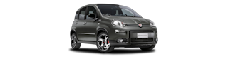 Fiat Panda grise