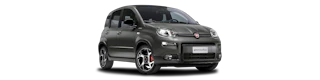 Grauer Fiat Panda